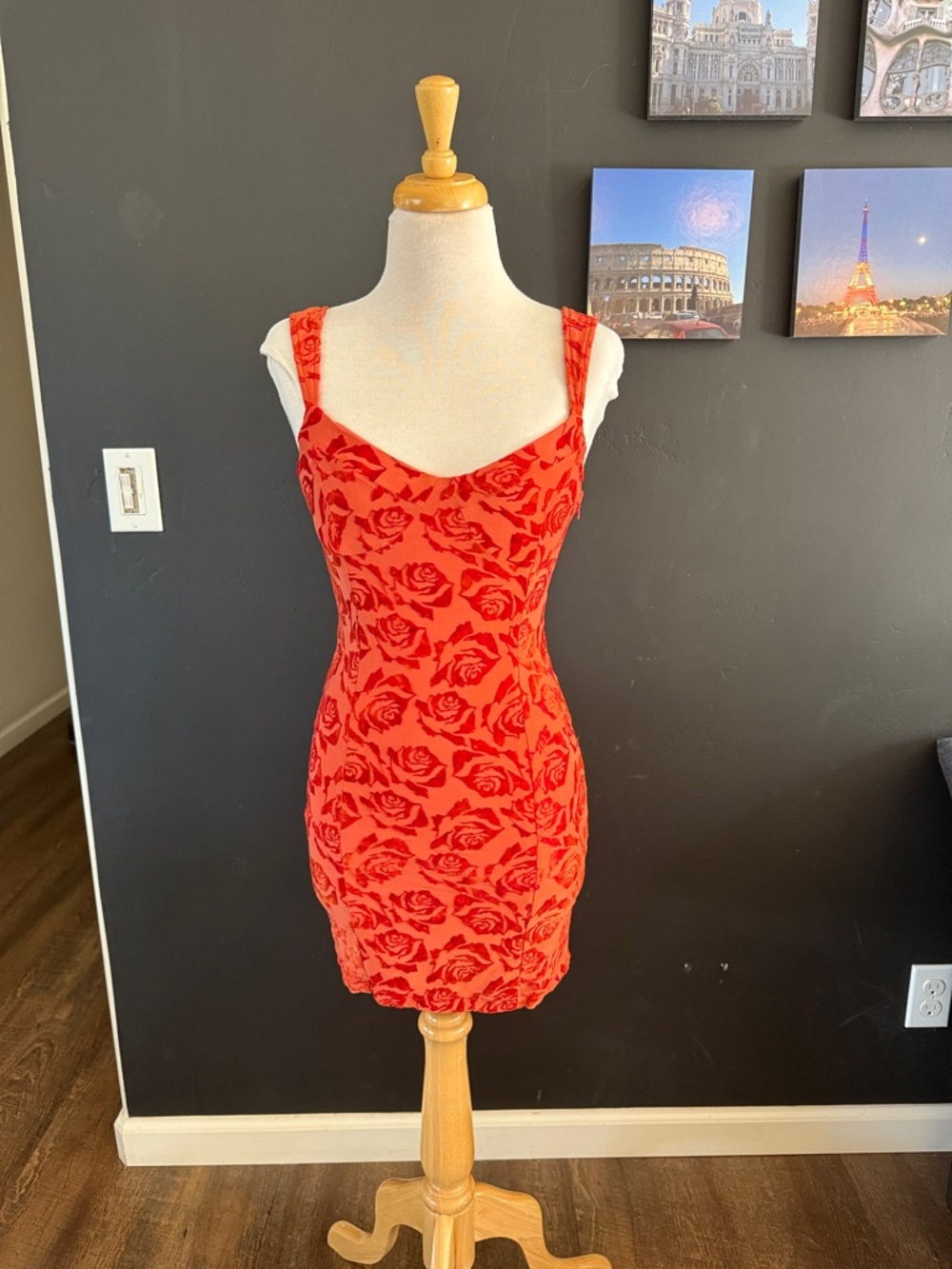 Nasty Gal Red Rose-Print Mini Dress